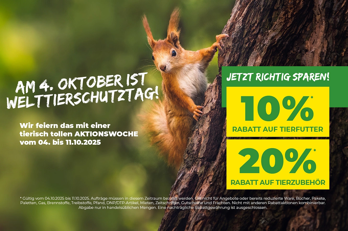 Welttierschutztag Website 640x426 Welttierschutztag Website 640x426