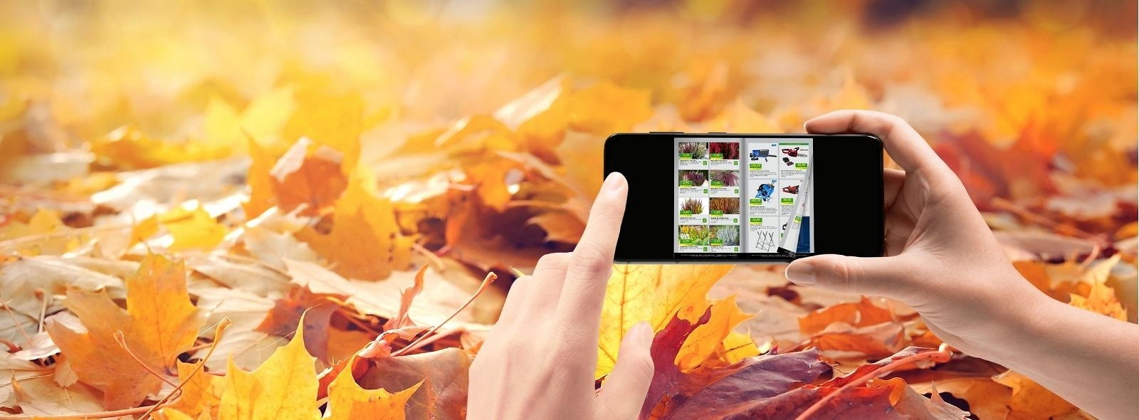 Website 1600x590 digitaler Prospekt Herbst Website 1600x590 digitaler Prospekt Herbst