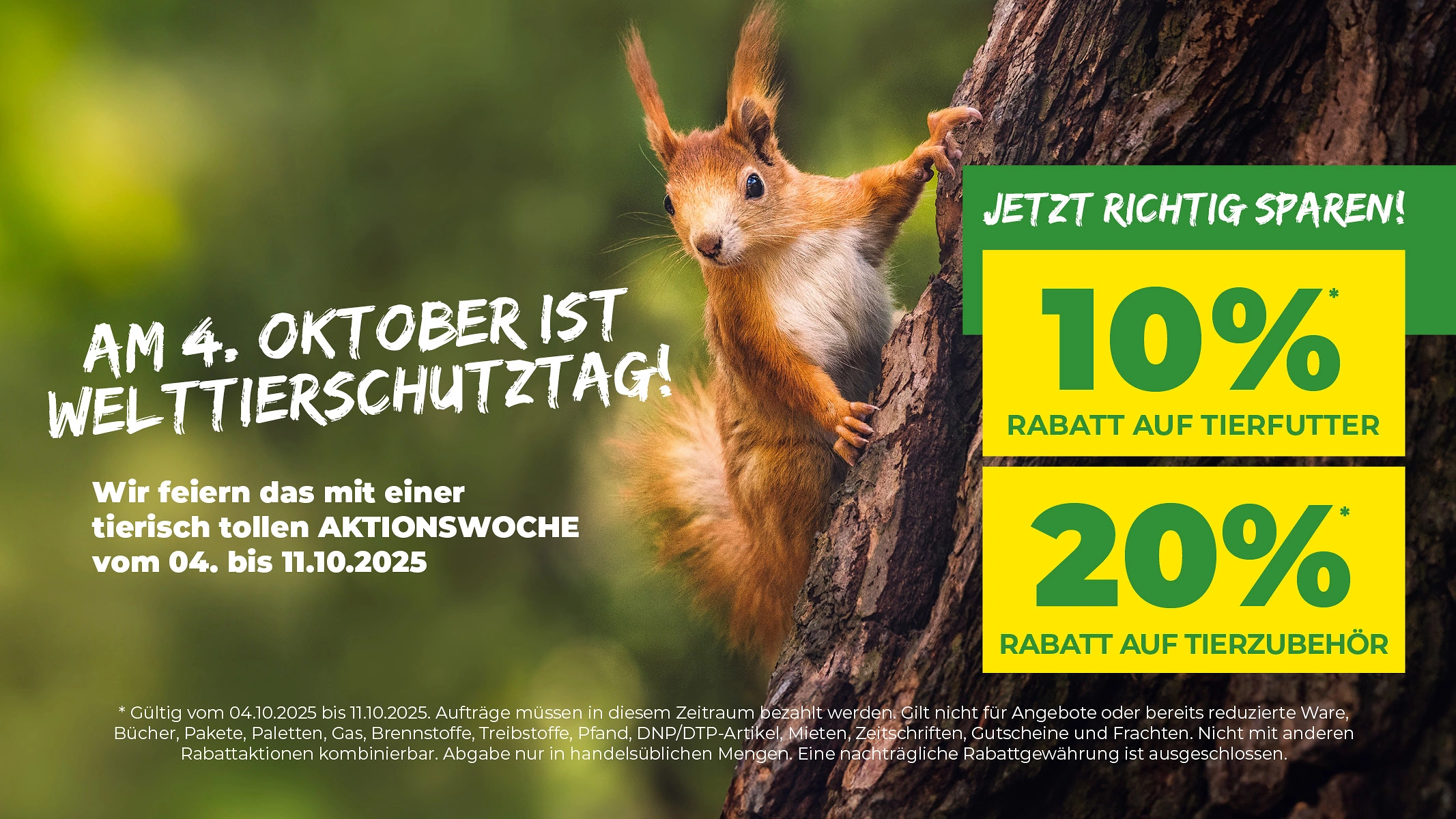 Welttierschutztag Website 1024x576 Welttierschutztag Website 1024x576