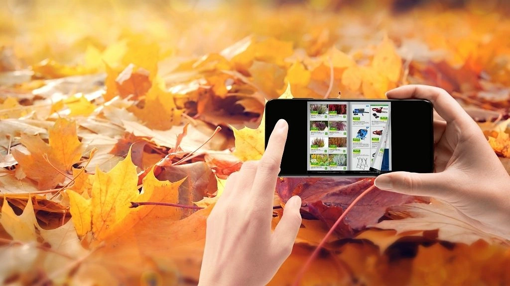 Website 1024x576 digitaler Prospekt Herbst Website 1024x576 digitaler Prospekt Herbst